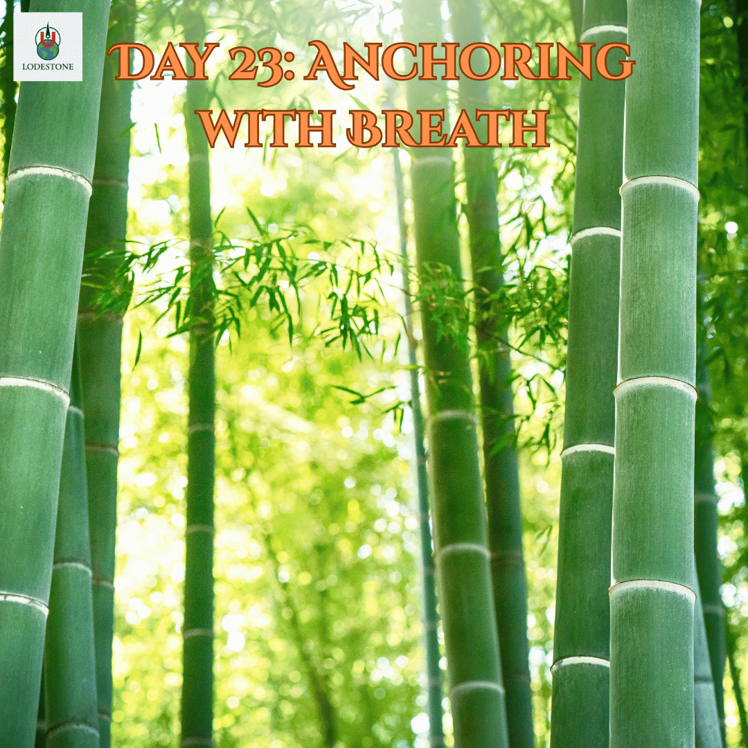Day 23 Thumbnail